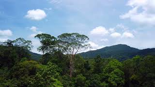 Gunung Lambak and Gunung Belumut