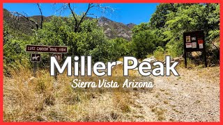 Lutz Canyon Trail to Miller Peak 9,466' | The steep route | Highest Peak Huachucas | Sierra Vista AZ