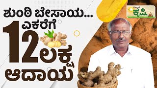 ಶುಂಠಿ ಬೇಸಾಯ : ಎಕರೆಗೆ 12 ಲಕ್ಷ ಆದಾಯ | Ginger Farming | Hassan | Mosale Hosahalli | Vistara Krishi