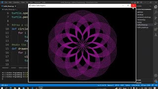 Draw Beautiful Flower using Python | Python Turtle Graphics