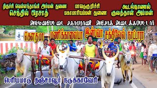 பெரியமாடு 03/12/2022 தஞ்சாவூர் நடுக்காவேரி { Periyamadu Thanjavur } PRD Perai Raj Digital