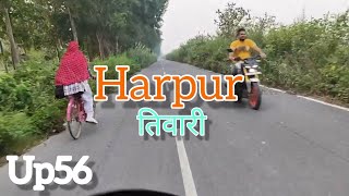 Harpur Tiwari  दशहरा मेले का Maharajganj