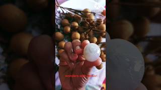 ఈ ఫ్రూట్ ఎప్పుడైనా తిన్నారా?anti -cancer fruit#longan#litchi