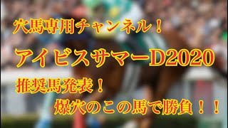 【アイビスサマーダッシュ 2020】舞台適正ばっちり！？2桁人気のこの馬で勝負！