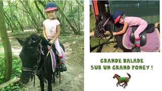 ÉQUITATION - GRANDE BALADE EN FORÊT  🐎