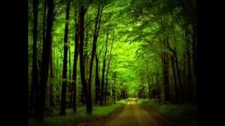 Aron Wright - In the Woods «Кухня» OST