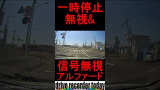 一時停止無視からの信号無視トヨタ・アルファード【ショート動画】 #違反 #恐怖 #信号無視 #交差点 #暴走 #交差点