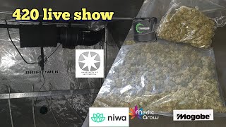 Mxtube.org :: mangolive lockroom Mp4 3GP Video & Mp3 Download ...