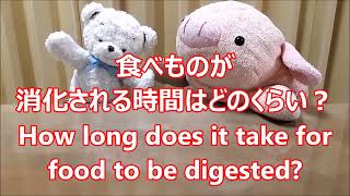 平日毎日更新【３０秒で薬局英会話】「食べものが消化される時間はどのくらい？」「24〜72時間くらいと言われています」〔#987〕