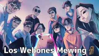 LOS WEBONES SI HICIERAN MEWING 🗿