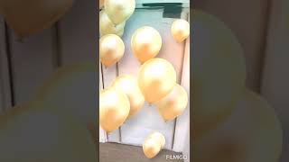 UNIARM IMPROVE VERSION SMART DOOR STOPPER SINGAPORE