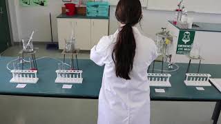 The Effect of Temperature on Enzyme Activity Experiment