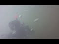 Sketchy Low Visibility Niagara River Drift Dive