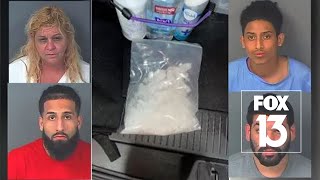 Drug trafficking ring busted in Pasco County