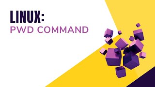 Pwd Command || Bash Scripting || Shell Scripting || By Designer Code