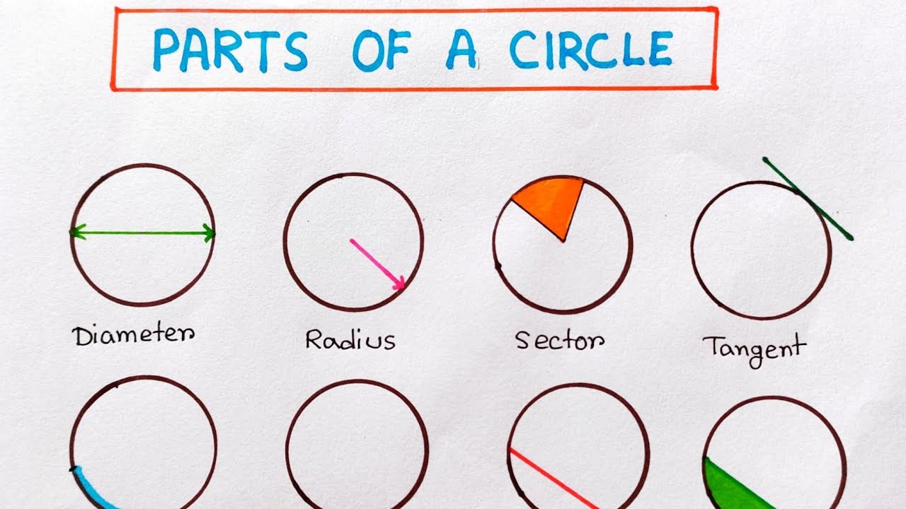 Parts Of Circle For Science Project |Parts Of Circle Diagram For School ...