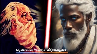 QUI SONT CES 2 TÉMOINS D'APOCALYPSE❓ On S'est TROMPÉ !