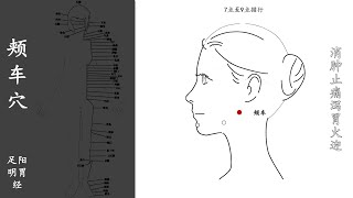 人体穴位037：颊车：消肿止痛泻胃火，温和灸颊车穴10～15分钟，1天1次，可治疗脑血管疾病、甲状腺肿大 20211026.mp4