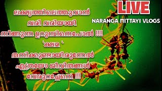 വിജയo നമ്മളെ തേടിവരാൻ ക്ഷമ എന്നാ രണ്ടു അക്ഷരം വളരെ important ആണ് ലൈഫിൽ 💖