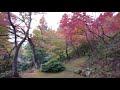 花筐公園 散策　4k