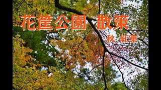 花筐公園 散策　4K