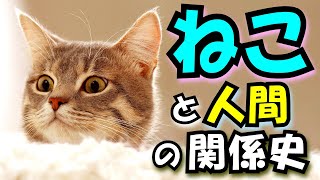 【猫と人間の歩み】日本最初の猫の名前があまりにもゴツすぎた！ 自然体で人間のペットとなった猫、エジプトは楽園、ヨーロッパは地獄、日本はフィクションの宝庫？【関係史】(History of Cats)