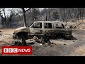 Californian family return to remains of their house after devastating wildfires - BBC News