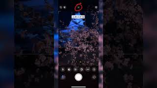 チャンスはあとわずか！？夜桜の綺麗な撮り方 #iphone #便利 #appleiphone #apple #写真 #写真の撮り方