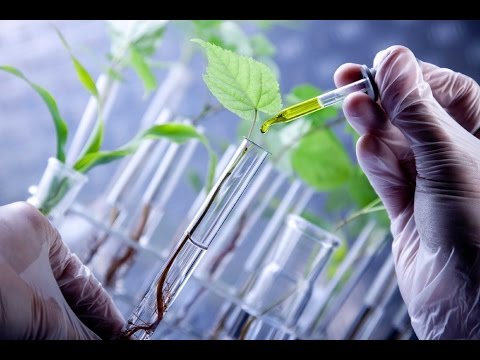 Biocatalysis and agricultural biotechnology