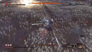 SEKIRO リハビリNG+7 Shura Glithless any%