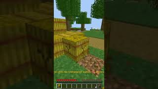 minecraft but I switch dimensions every minute |#shorts #youtubeshort #shortvideo