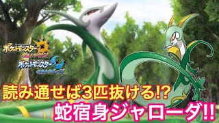 【ポケモンUSUM】蛇宿身代わりジャローダ!!でも、お前を活躍させたい訳じゃない!!【ウルトラサン/ウルトラムーン】