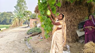 1 लौकी से ढेर सारा पानीर अगर ऐसे बनाएंगे मटन पनीर चिकन बनाना भूल जाएंगे Lauki sabji recipe |