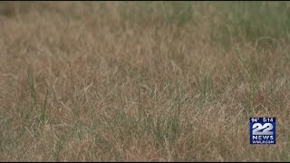 How to: Prevent lawns from going dormant