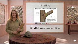 Tree Pruning - ISA BCMA