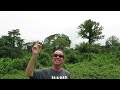 Mr. Sports Travel Surrounded by Pretty Singing Birds - and Lushness - in Pretty Equatorial Guinea!