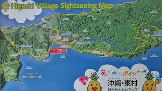 沖縄やんばるから~那覇市までドライブ　Small Okinawa Drive, drive image