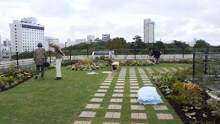 県庁舎竣工８０年　屋上庭園を一般開放　富山