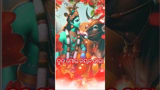 ତୁତ ମୋର ନୟନ ତାରା#ଓଡିଆ #krishna #kanha #kanhu#radhakrishna#status#youtubeshorts#odiabhajan#cow#god