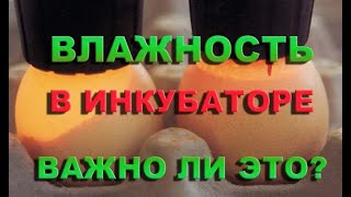 ВЛАЖНОСТЬ В ИНКУБАТОРЕ - 100% ВЫВОД | секреты инкубации