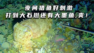 夜间猎鱼好刺激，不仅打到大石斑，还收获大墨鱼。爽！