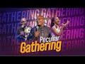 Peculiar Network Gathering | Session 1