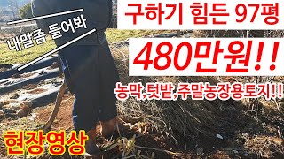 97평토지가 480만원! 공매 물건 임장영상 농막, 텃밭, 주말농장용 싼땅