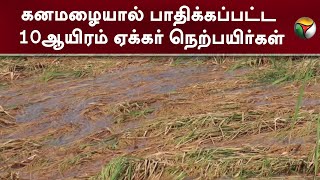 கனமழையால் பாதிக்கப்பட்ட 10ஆயிரம் ஏக்கர் நெற்பயிர்கள்! | PTT| Madurai |  |Agriculture | TN GOVERNMENT