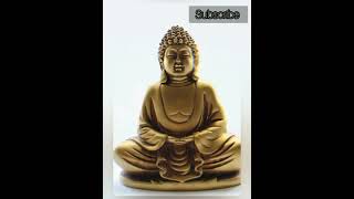 உடல் நலமே மன நலம் | புத்தர் வரிகள் | Buddha Motivational quote short video status