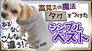 タグをつけただけなのに！高見えシンプルベスト【わんこ服】