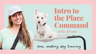 Intro To The Place Command with Brodie