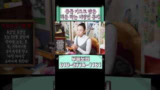 몽골에서 공수한 2025년 을사년 액운 막을 방법은 '이 동물'? #shorts #액운소멸 #비방법 #공수