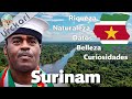 30 Curiosidades que Quizás no Sabías sobre Surinam | El país más pequeño de Sudamérica.