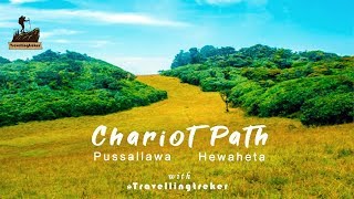 Chariot Path via Pussallawa - Hewaheta | Sri Lanka *Hiking | Camping*